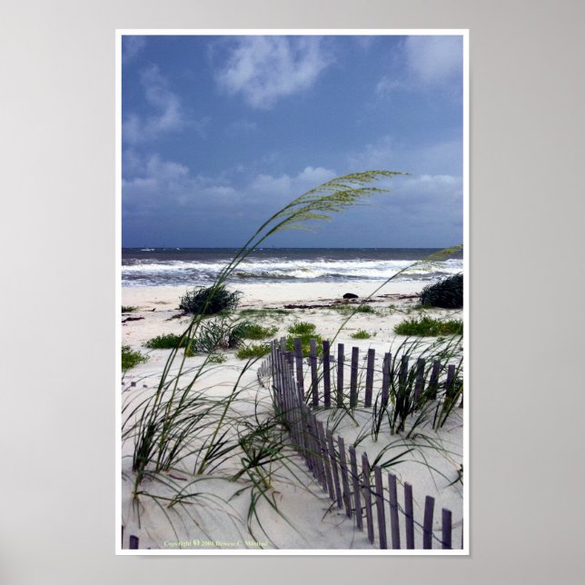 Poster de solidão (Frente)