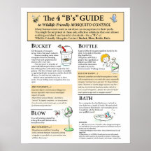 Poster de Soluções de Mosquitos Amigáveis à Vida S