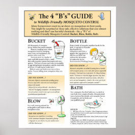 Poster de Soluções de Mosquitos Amigáveis à Vida S