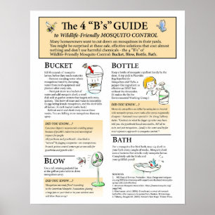 Poster de Soluções de Mosquitos Amigáveis à Vida S