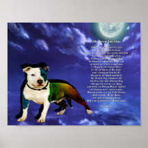 Poster de Sonho (Pitbull)