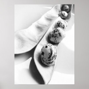 Poster de sorriso do feijão