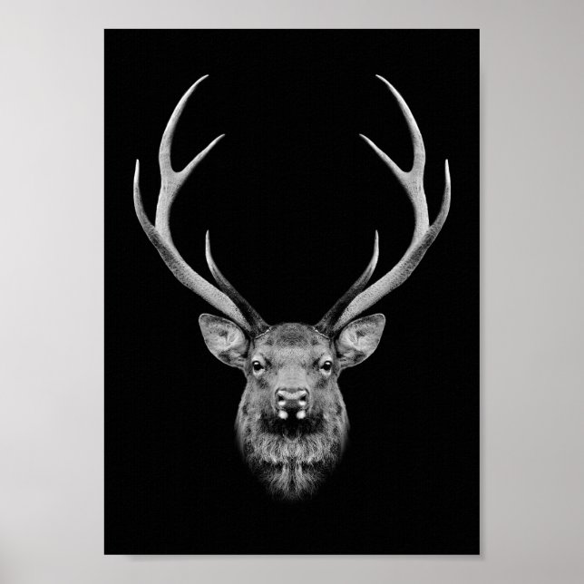 Poster de Stag (Frente)