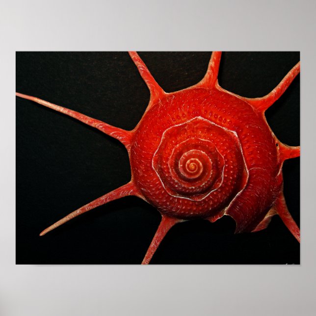 Poster de Star Shell Japonês (Frente)