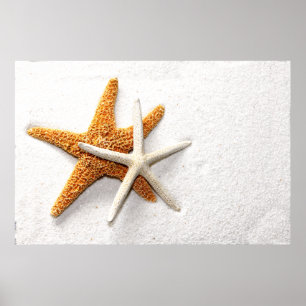 Poster de Starfish