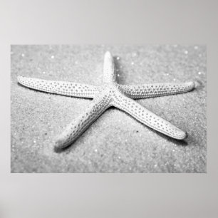 Poster de Starfish