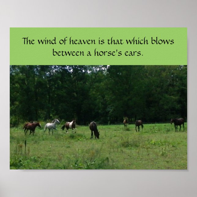 Poster de Suporte de Emergência em Cavalos de Corr (Frente)