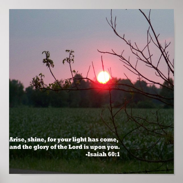 Poster de Surgimento e Brilho (Frente)