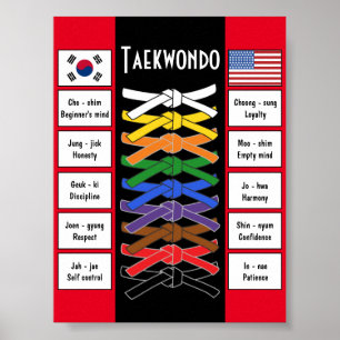 Poster de Taekwondo