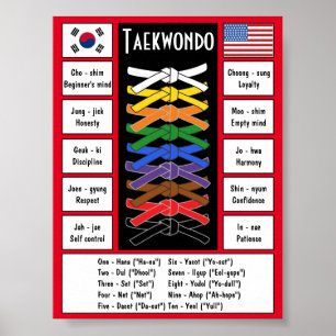 Poster de Taekwondo