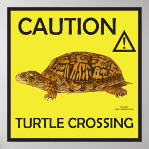 Poster de Tartaruga de Precaução