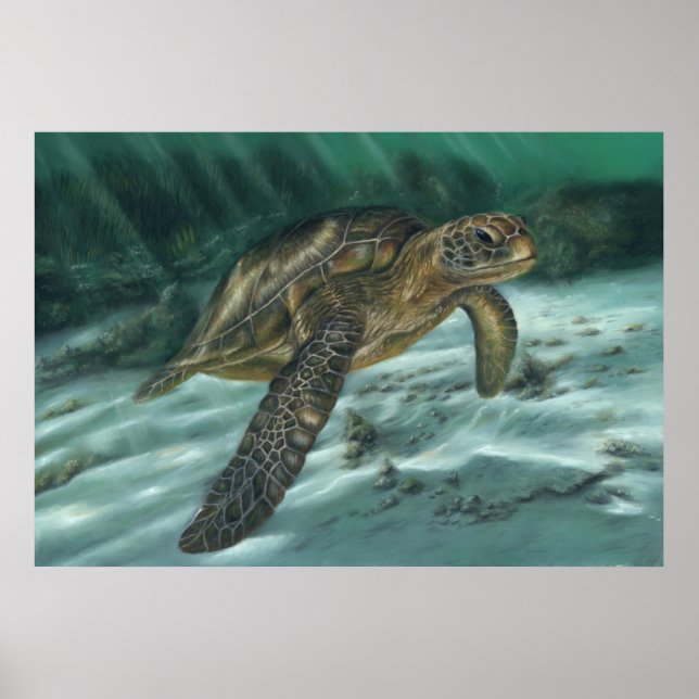 Poster de Tartaruga do Mar (Frente)