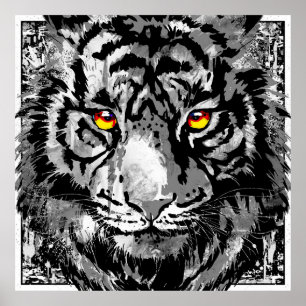 Poster de Tigre Branco - Impressão de Arte Colorid