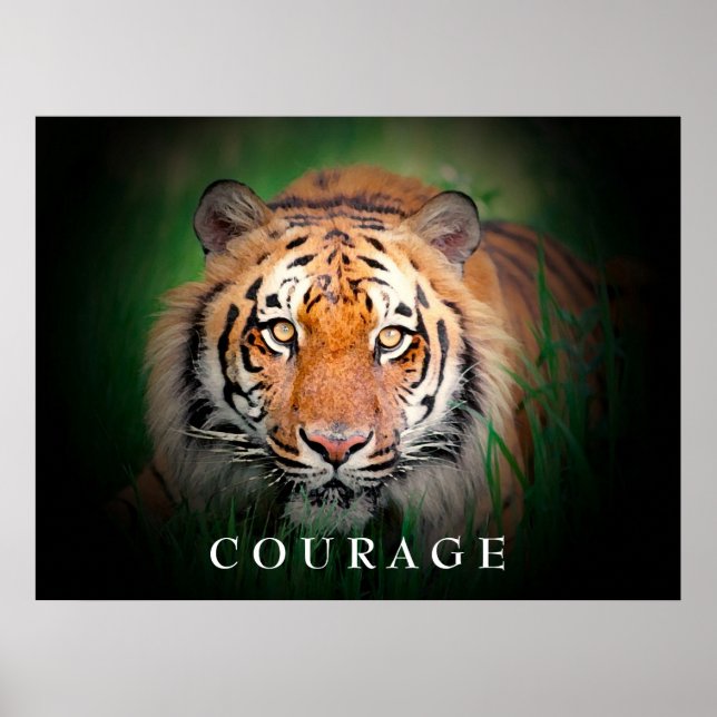 Poster de Tigre de Coragem Motivacional (Frente)