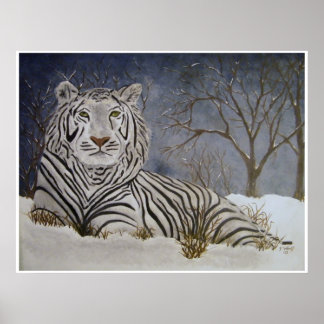 Poster de Tigre de Neve