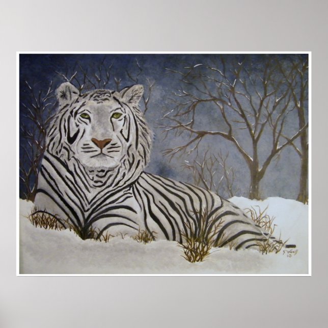 Poster de Tigre de Neve (Frente)