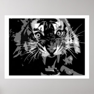 Poster de Tigre de Rumo