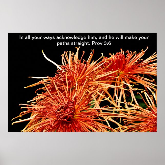 Póster de todas as formas, reconheça-o (Frente)