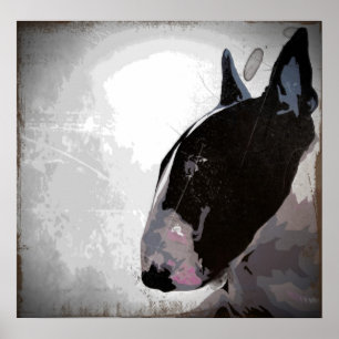poster de Touro Terrier art em inglês