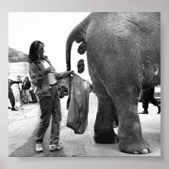 Poster de Trabalho Antigo (Frente)