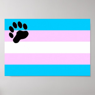 Poster de TransBear
