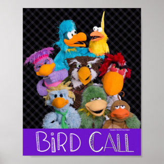 Poster de transmissão de chamada de pássaro