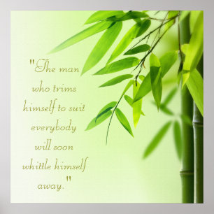 Poster de Tratamento de Spa