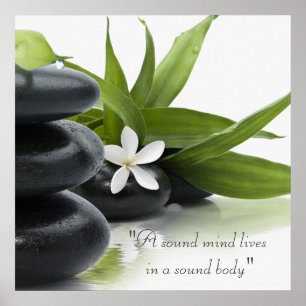 Poster de Tratamento Holístico Spa