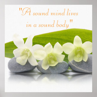 Poster de Tratamento Holístico Spa