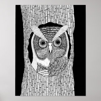 Poster de Tree Owl