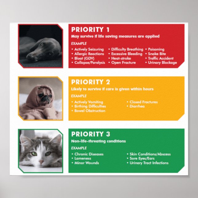 Poster de triagem (Frente)