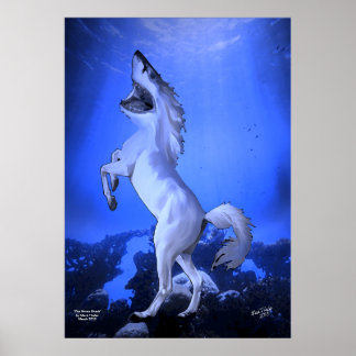 Poster de tubarão-cavalo