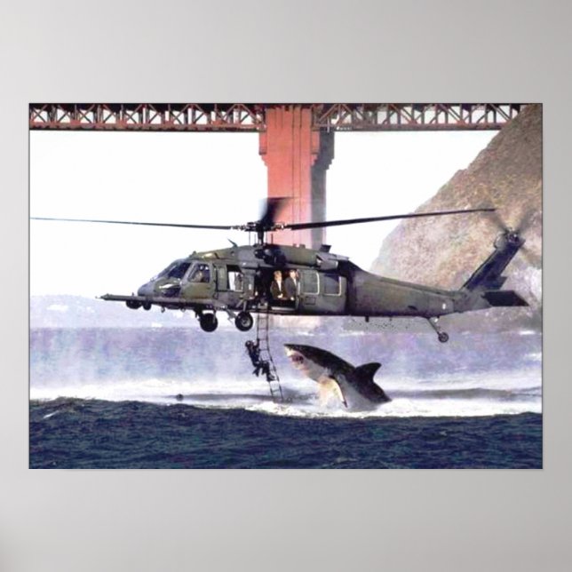 Poster de tubarão selvagem (Frente)