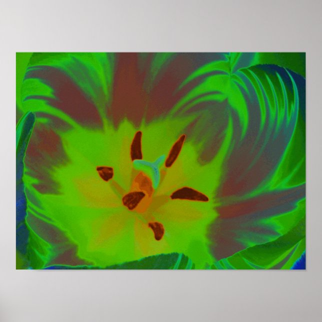 Poster de Tulipa Verde Mística (Frente)