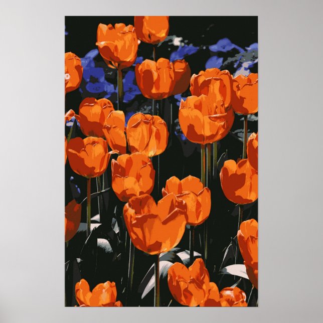 Poster de Tulipas Laranja (Frente)