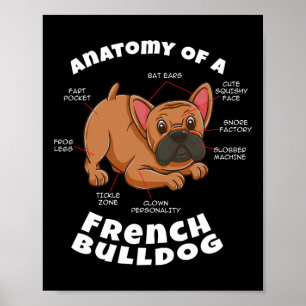 Poster De Um Bulldog Francês