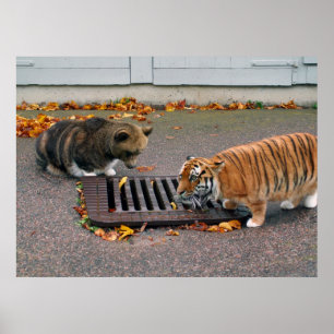 Poster de um buraco de água urbano