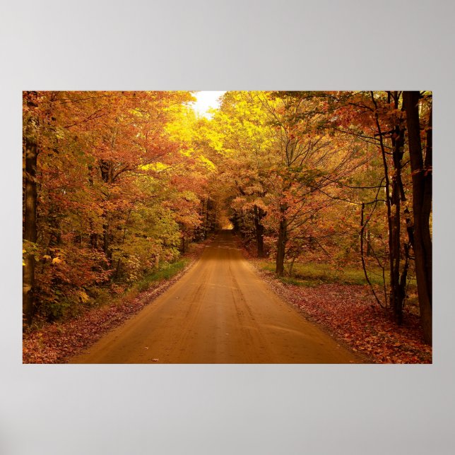 Poster de Unidade Censônica (Frente)