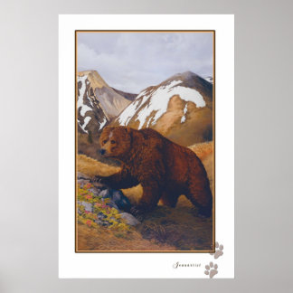 poster de urso pardo