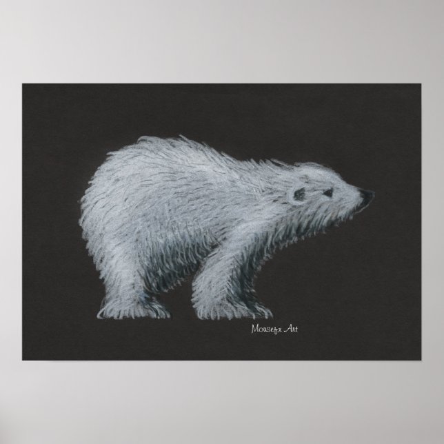 Poster de Urso Polar (Frente)