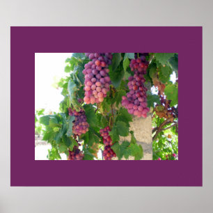 Poster de uvas