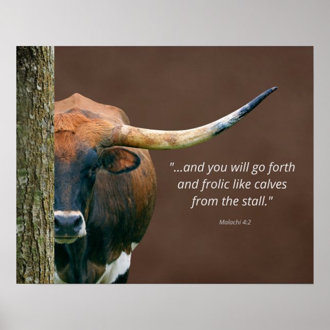 Poster de Vaca do Texas Longhorn - Palavra persona (Frente)