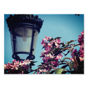Poster de valor de foto primavera