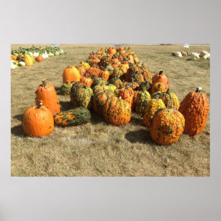 Poster de Venda de Bompkin de Queda