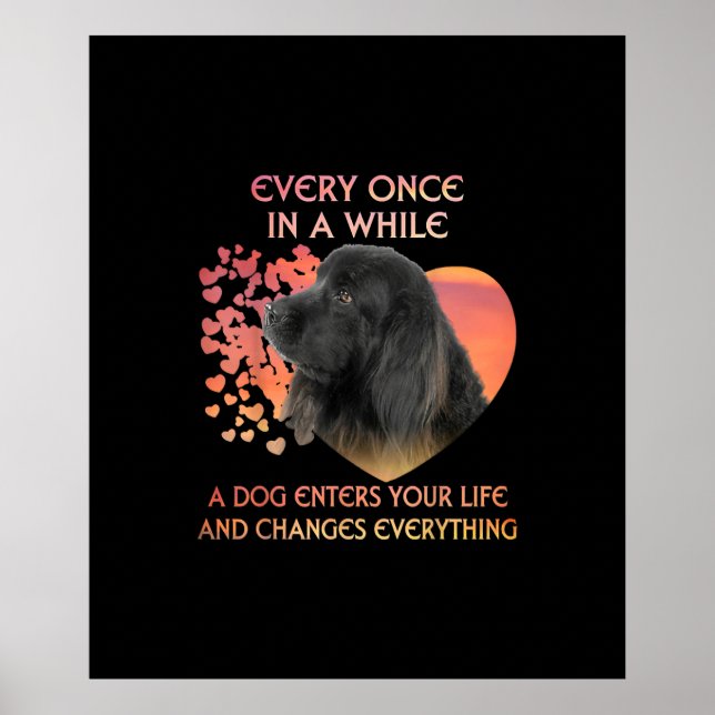 Poster De Vez Em Quando Um Cachorro Entra Na Sua Vida (Frente)