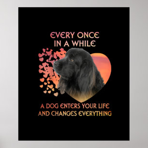 Poster De Vez Em Quando Um Cachorro Entra Na Sua Vida