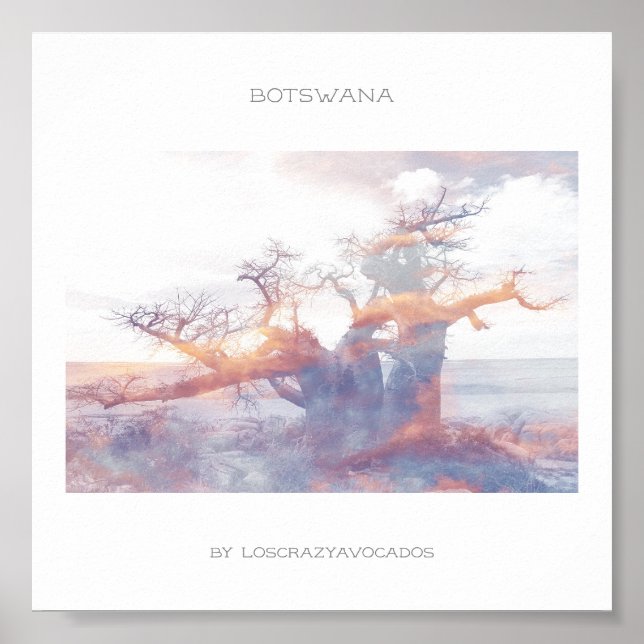 Poster de viagens Baobab na Ilha de Botswana Kubu (Frente)