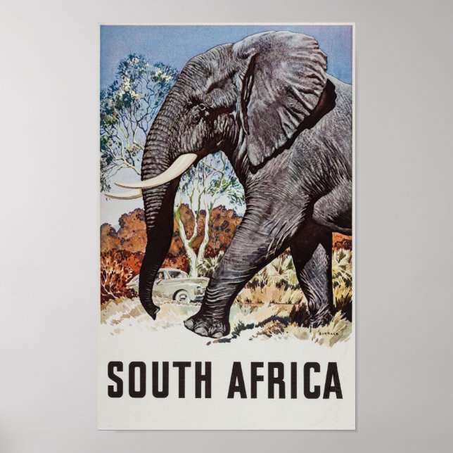 Poster de viagens da África do Sul (2) (Frente)