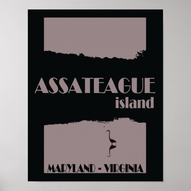 Poster de viagens da Ilha de Assateague (Frente)