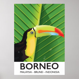 Poster de viagens de Bornéu Toucan